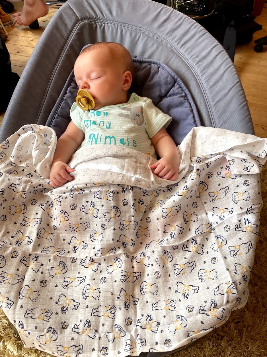 A small baby sat in a Nuna Leaf, asleep with a yellow dummy in and a space-themed muslin laid across him